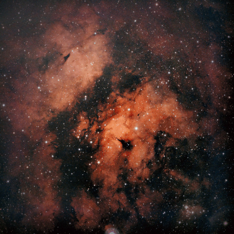 はくちょう座サドル付近の散光星雲