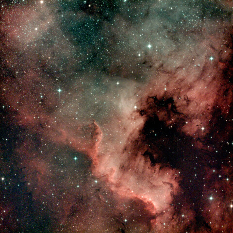 NGC7000