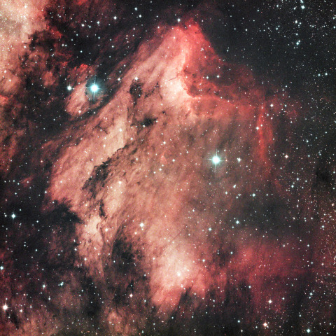ペリカン星雲