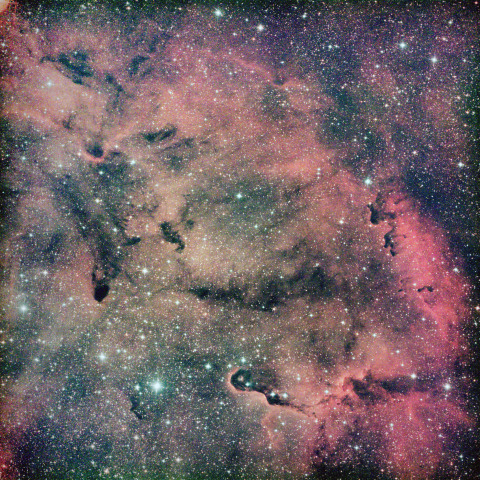 象の鼻 vdB142 IC1396