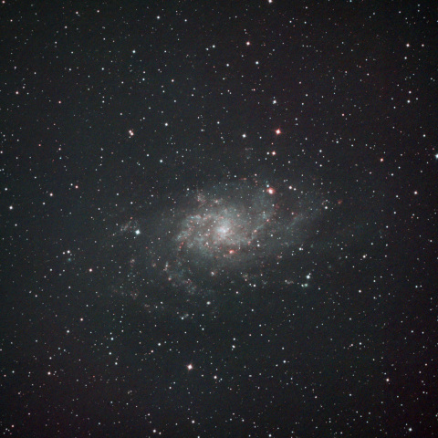 M33