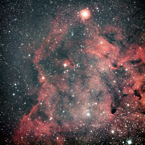 IC1396