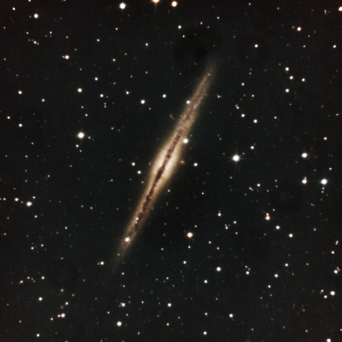 NGC891