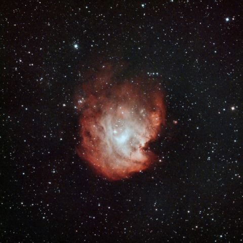 NGC2174　モンキー星雲