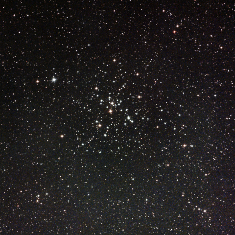 M41