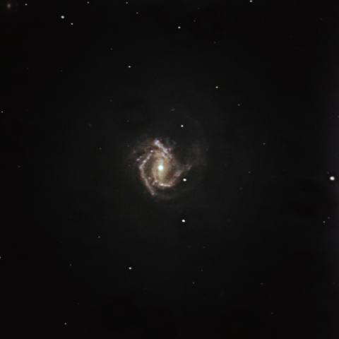 M61