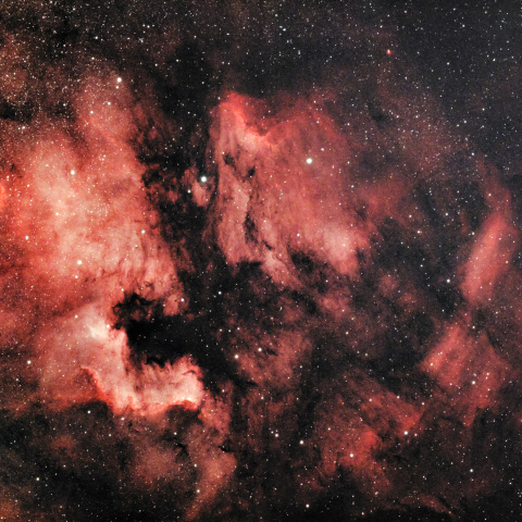 北アメリカ星雲付近の散光星雲