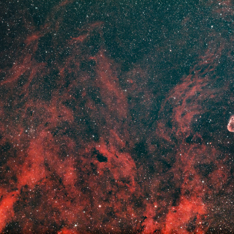 クレセント星雲付近の散光星