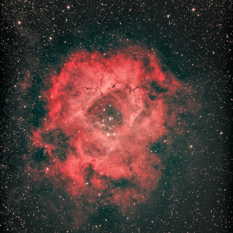 ケンコーSE120によるバラ星雲