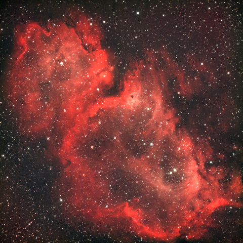 IC1848