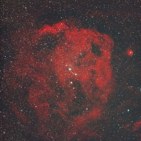 エンゼルフィッシュ星雲