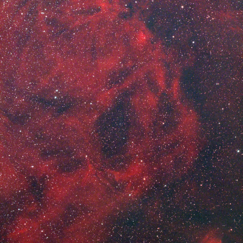 エンゼルフィッシュ星雲