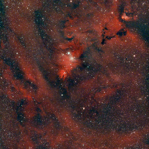 クリスマスツリー星団