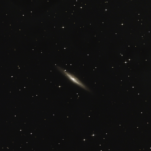 NGC2863