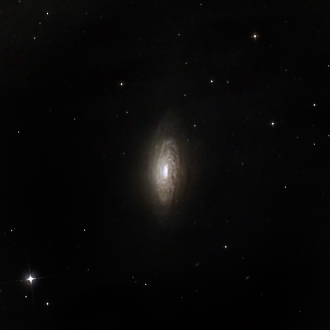 NGC3521