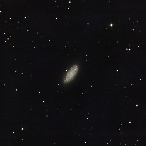 NGC2976