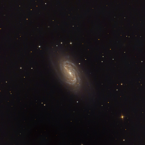 NGC2903