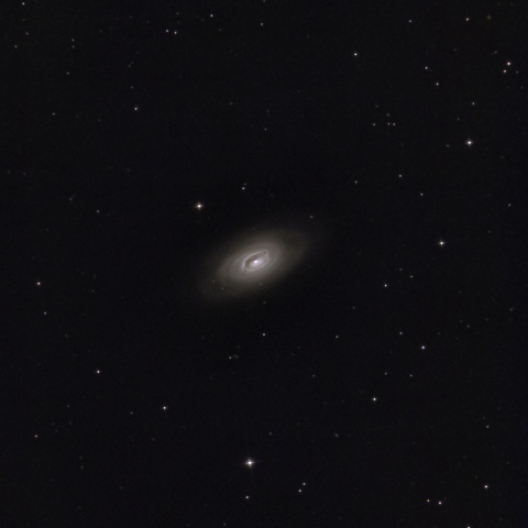 M64