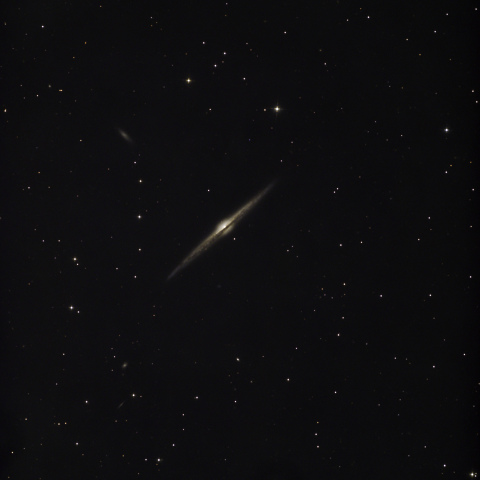 NGC4565