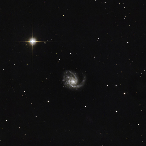 M99
