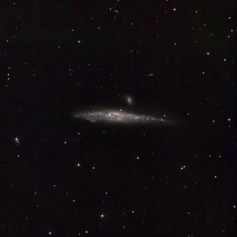 NGC4631