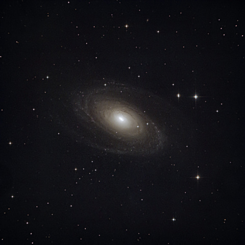 M81