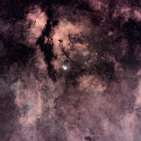 サドル付近の散光星雲