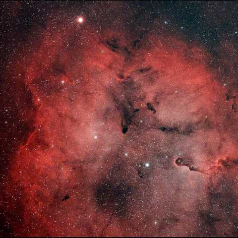 IC1396