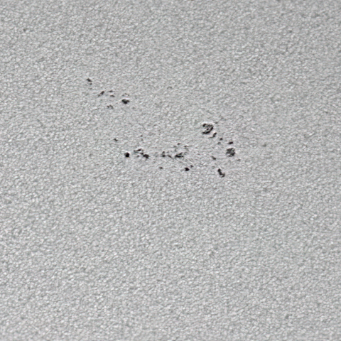 2024.01.06 太陽黒点3538