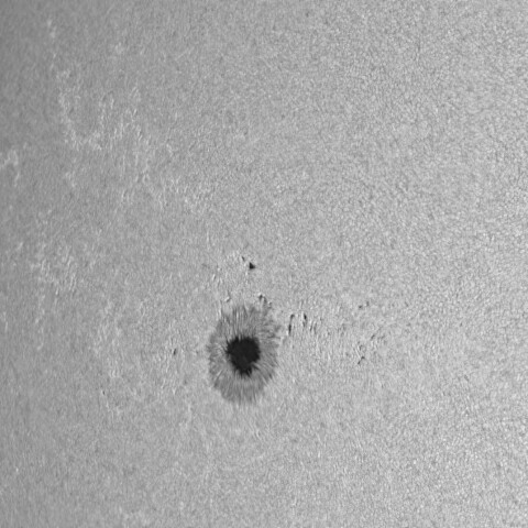 2024.09.07の太陽黒点3814