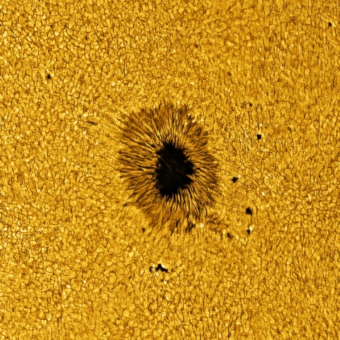 2024.09.14の太陽黒点3814と粒状斑