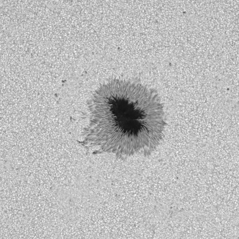 2024.11.04の太陽黒点.3879