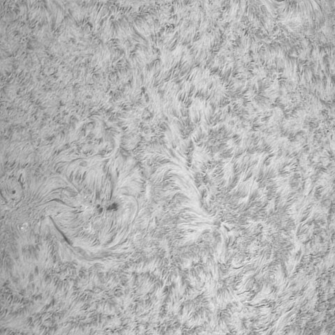 2024.11.09の太陽黒点3883周辺