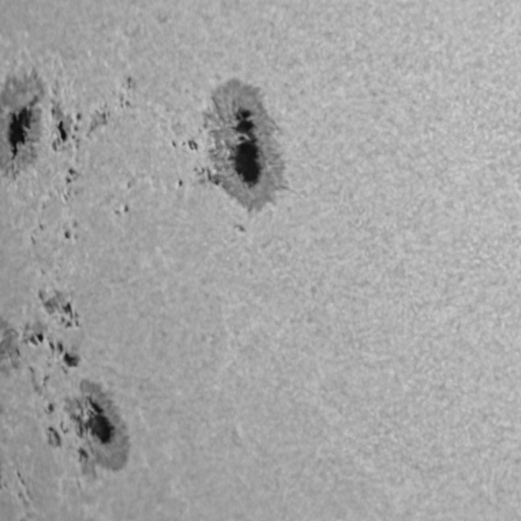 2024.11.24の太陽黒点3902.3905.3906