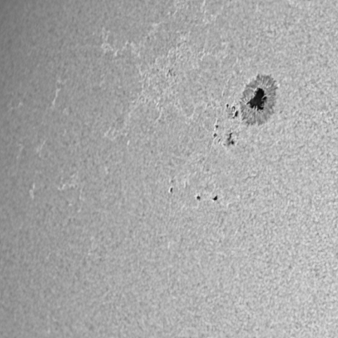 2026.01.17の太陽黒点 4342.4344.4347