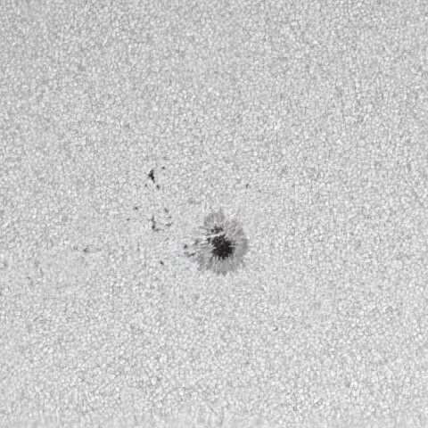 2023.3.4の太陽黒点3238