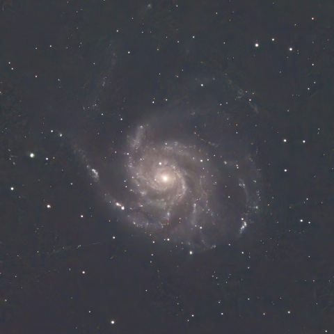 M101