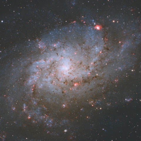 M33