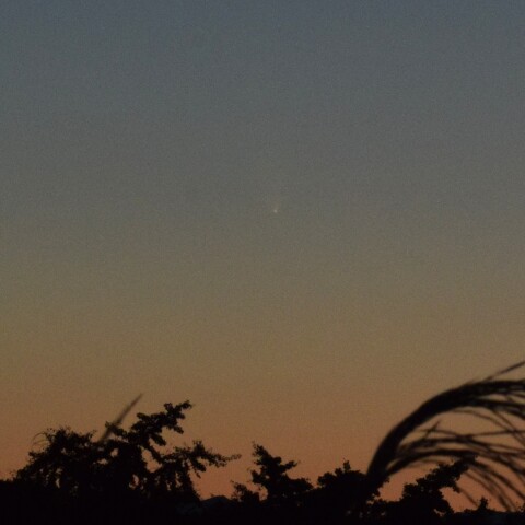 夕方の紫金山・アトラス彗星