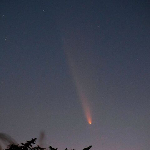 夕方の紫金山・アトラス彗星