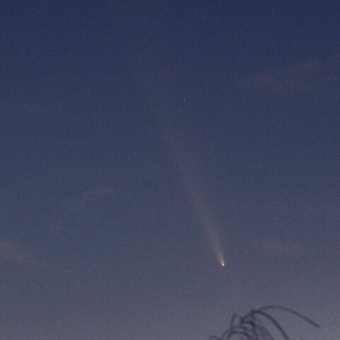 夕方の紫金山・アトラス彗星