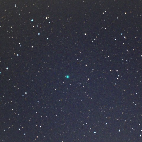 ネオワイズ彗星（C/2016U1）