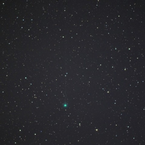 新彗星ラブジョイ（C/2017 E4）