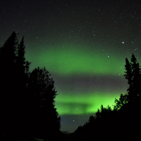 夏のオーロラ
