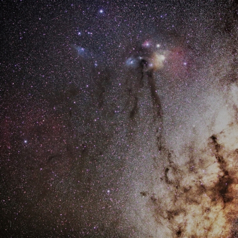 へびつかい座の散光星雲と青い馬の首星雲