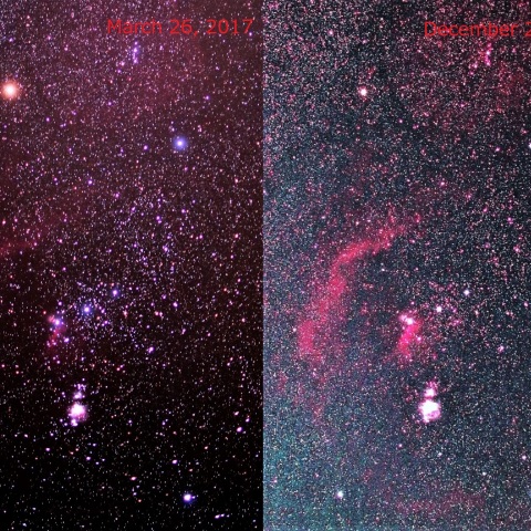 ベテルギウスの減光