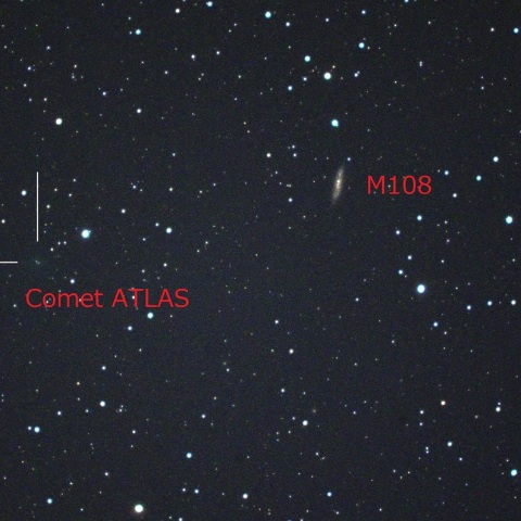 M97，M108に接近するアトラス彗星