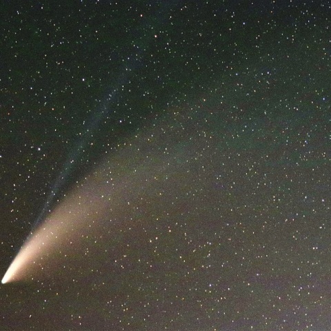 ネオワイズ彗星（C/2020 F3）