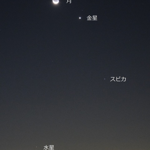 月，金星，水星