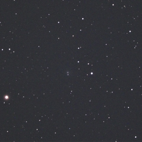 パロマ彗星（C/2020T2）